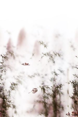 水墨印花华亿平台图片