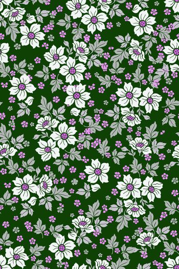 1497678-花卉20115-3