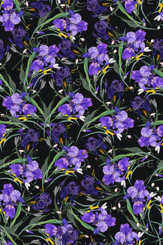 女装印花华亿平台图片