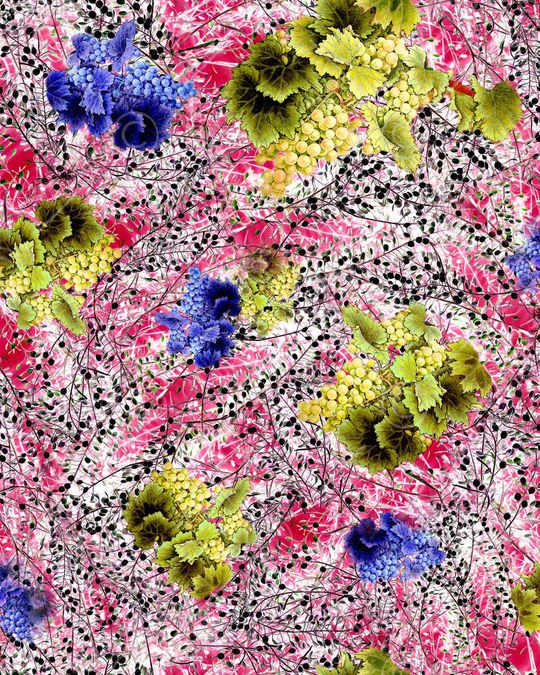 葡萄印花华亿平台图片