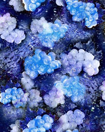 149778-WL3-0143E - C