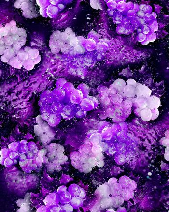 149780-WL3-0143E - E