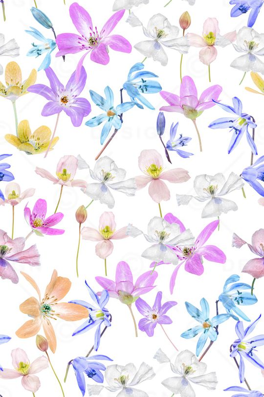 清爽底花卉印花华亿平台图片