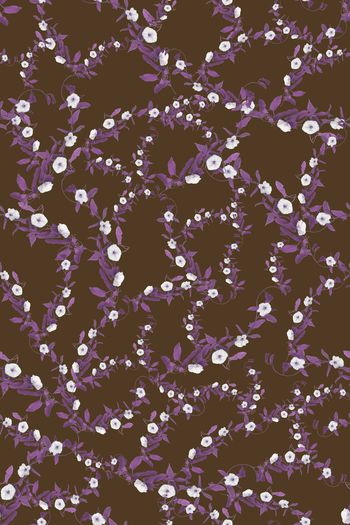 1497851-花卉20123-3