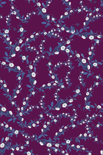 1497852-花卉20123-4