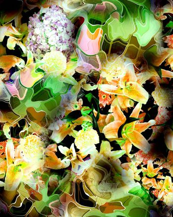 149790-WL3-0145E 小c