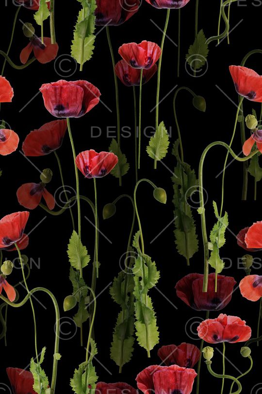 黑底花卉印花华亿平台图片