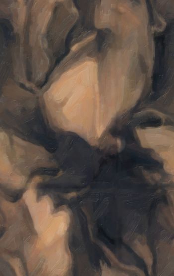 连衣裙印花华亿平台图片