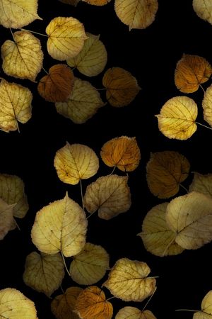 绿植树叶印花华亿平台图片