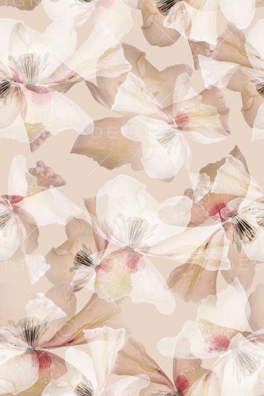 清爽底花卉印花华亿平台图片