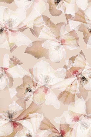 清爽底花卉印花华亿平台图片