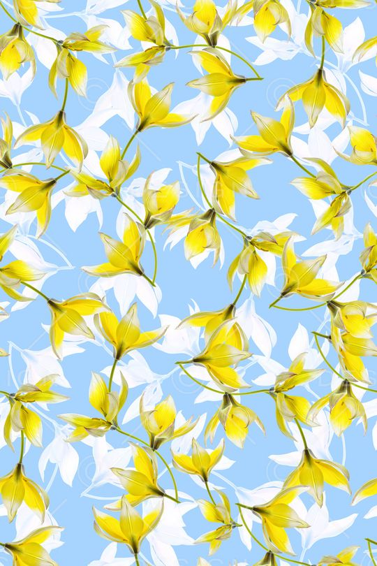 清爽底花卉印花华亿平台图片