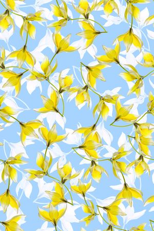 清爽底花卉印花华亿平台图片