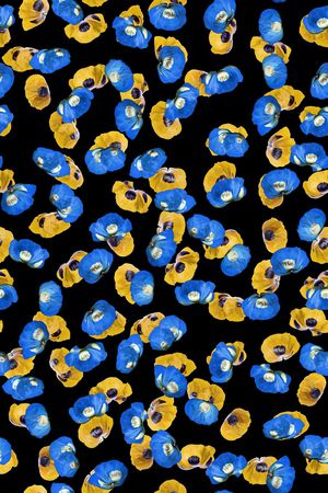 黑底花卉印花华亿平台图片