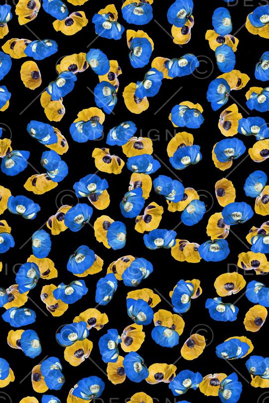 黑底花卉印花华亿平台图片