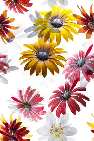 清爽底花卉印花华亿平台图片