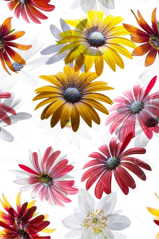 清爽底花卉印花华亿平台图片