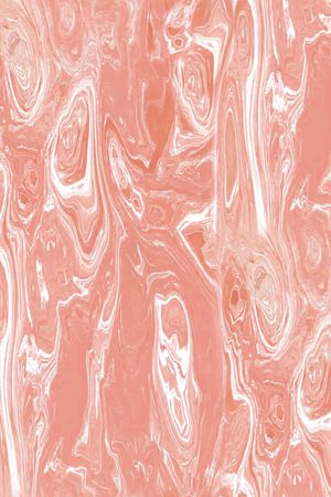 羽绒服印花华亿平台图片