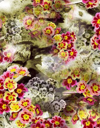 149825-WL3-0149E 小D