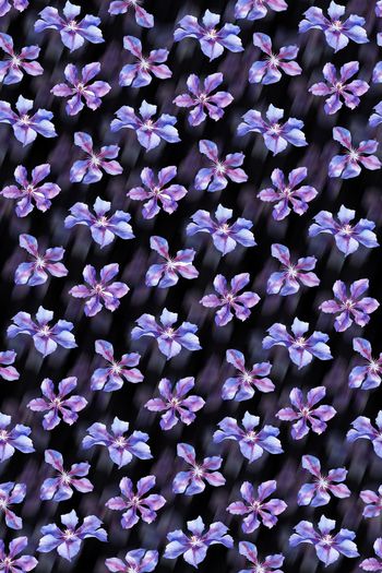 连衣裙印花华亿平台图片