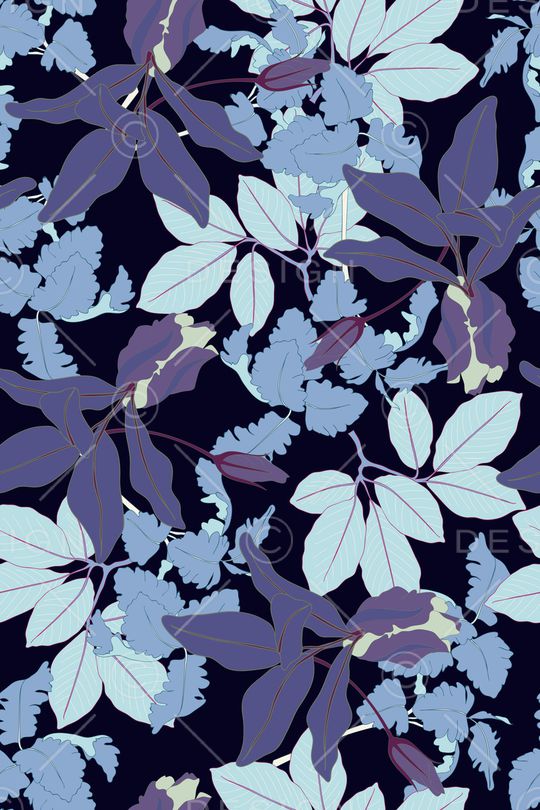 女装印花华亿平台图片