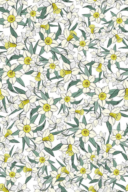 女装印花华亿平台图片