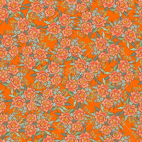 女装印花华亿平台图片