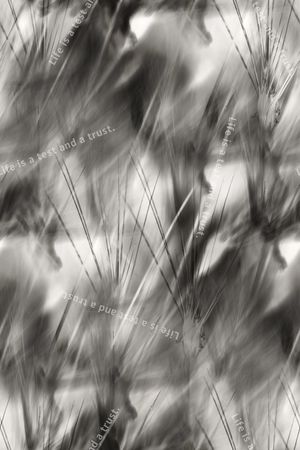 肌理印花华亿平台图片