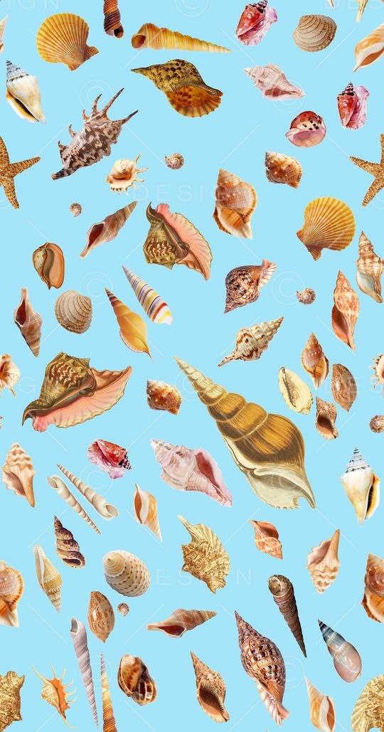 时尚印花华亿平台图片