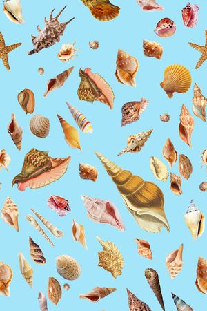 时尚印花华亿平台图片