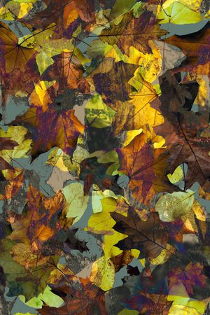 绿植树叶印花华亿平台图片