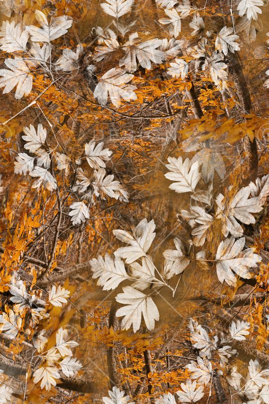 绿植树叶印花华亿平台图片