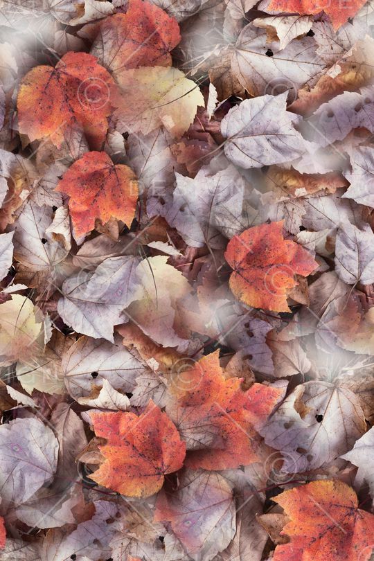 绿植树叶印花华亿平台图片