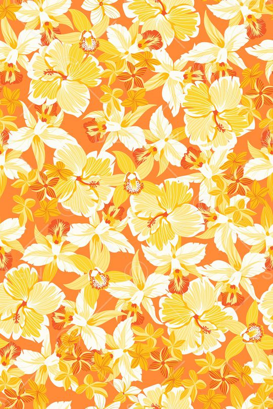 女装印花华亿平台图片