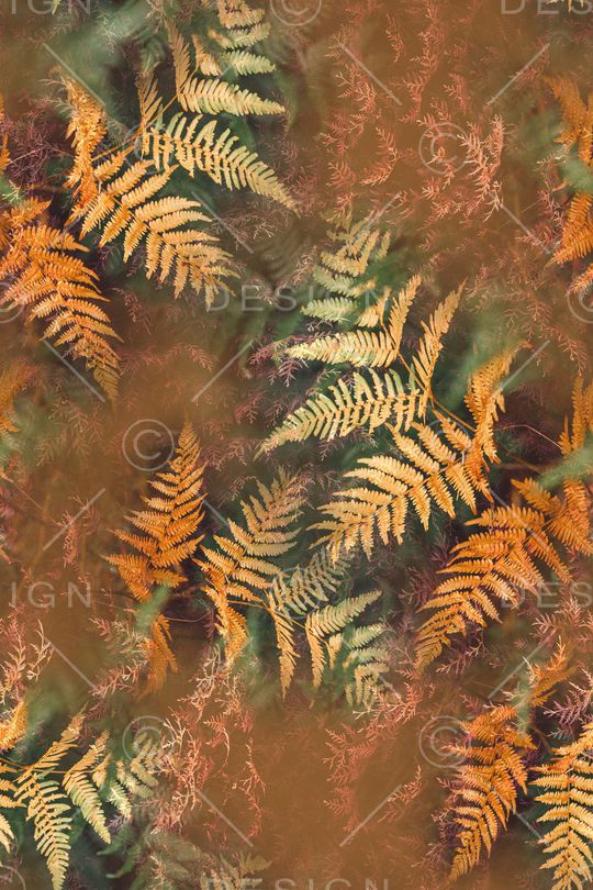 绿植树叶印花华亿平台图片