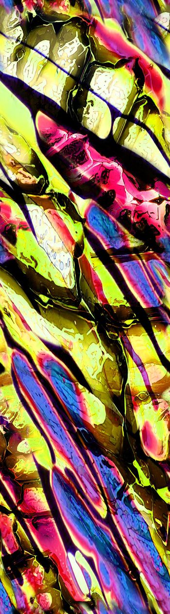 149930-WL3-0165E 服装 C