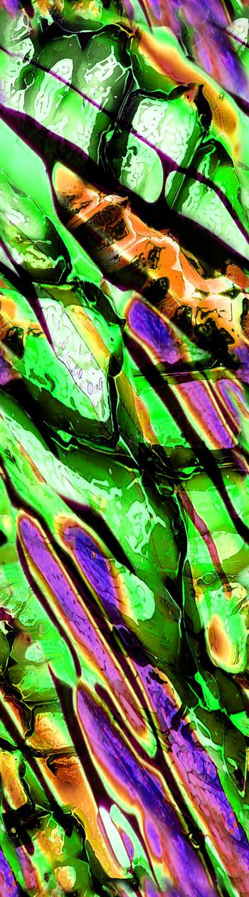 149932-WL3-0165E 服装 E