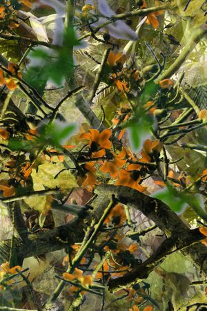 树枝印花华亿平台图片