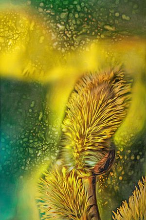 定位花印花华亿平台图片