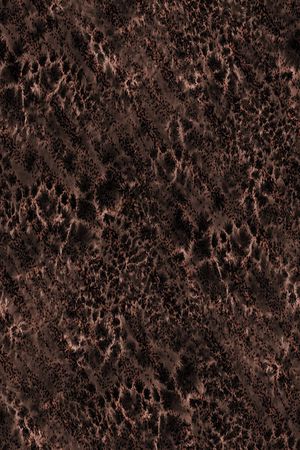 豹纹印花华亿平台图片