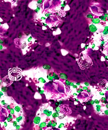 149966-wl3-0170F缩小配色2