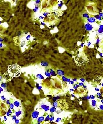 149968-wl3-0170F缩小配色4