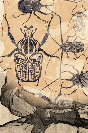 定位花印花华亿平台图片