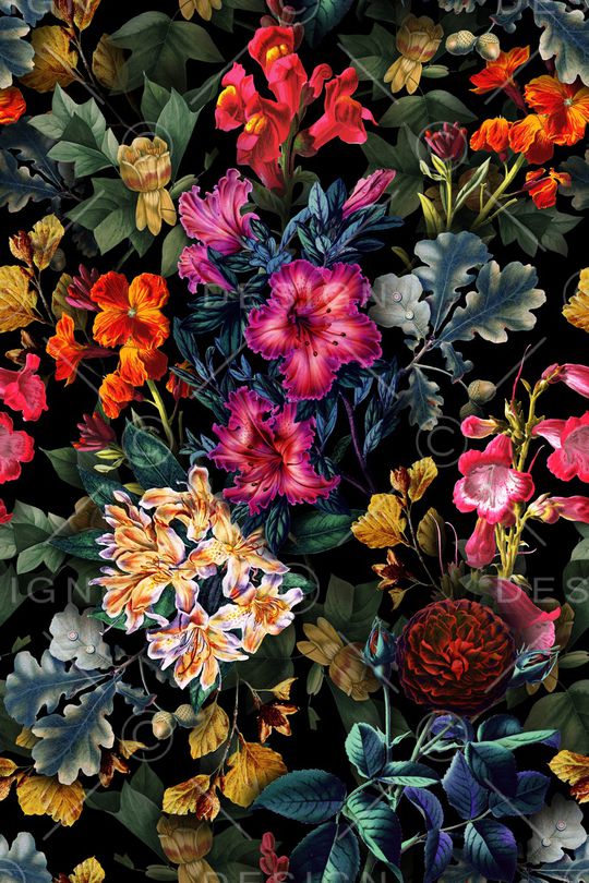 女装印花华亿平台图片