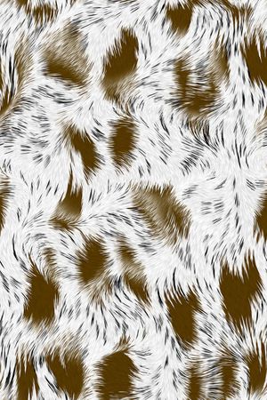 豹纹印花华亿平台图片