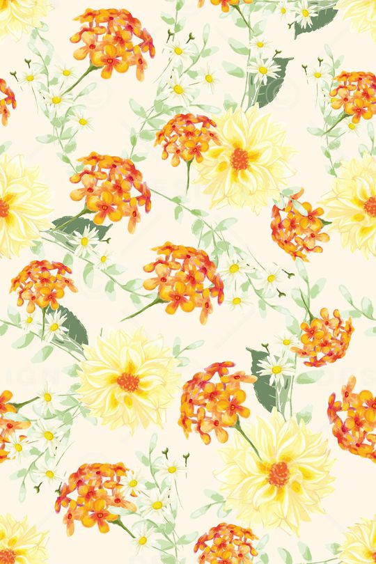 女装印花华亿平台图片