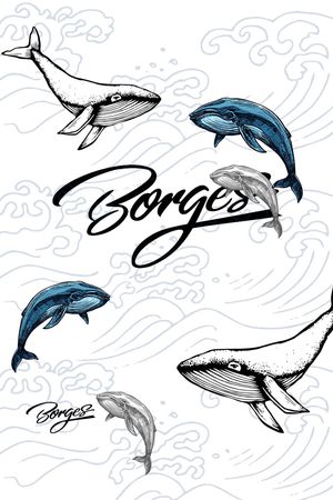 字母印花华亿平台图片