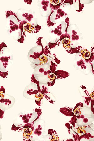 清爽底花卉印花华亿平台图片