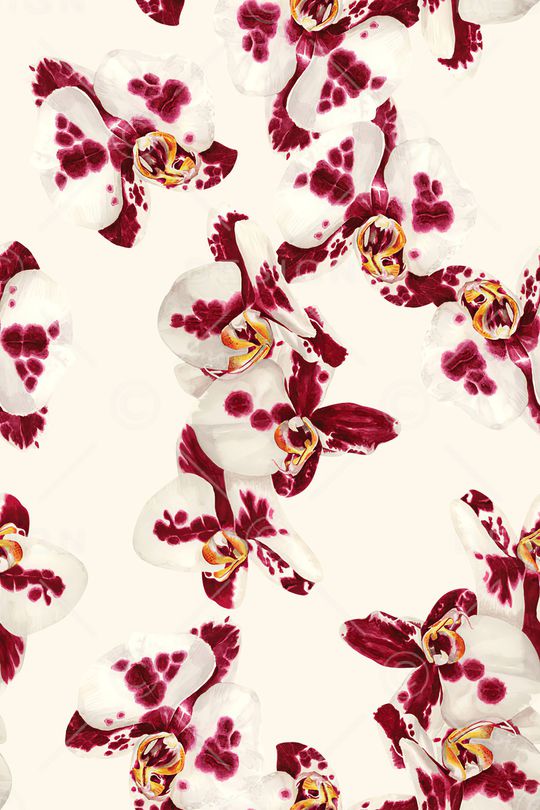 清爽底花卉印花华亿平台图片