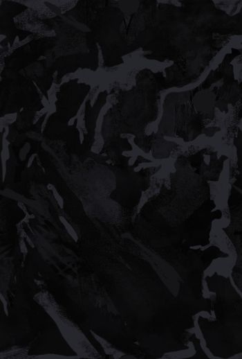 1500632-888822061404[2]